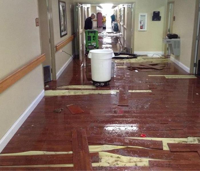 Business Water Damage