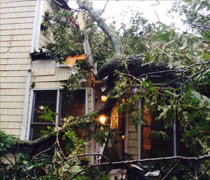 Tree Fallen on Home in Charlotte